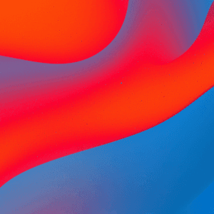 Motion Design & Video